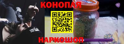 гашик Бийск