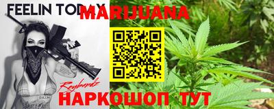 гашик Бийск
