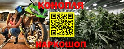 гашик Бийск