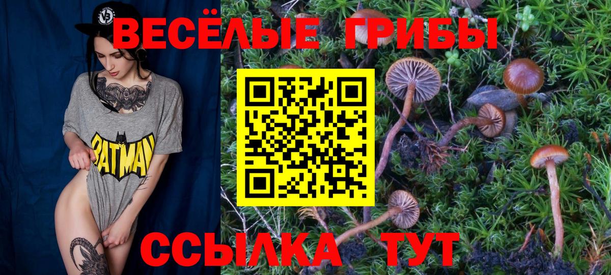 Галлюциногенные грибы мухоморы  Вход с VPN  Псилоцибиновые грибы мухоморы  Зима 